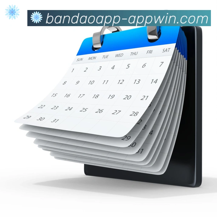 半岛体育app荣誉