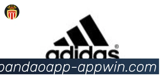 半岛体育app合作伙伴